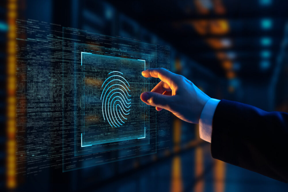 What to Look for in an SEO Site Audit